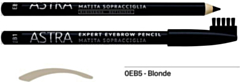 ASTRA Expert Eye-Brow Pencil | EB5 Durable Eyebrow Pencil | Long-Lasting Define and Fill
