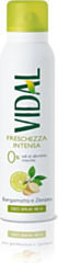 Deodorante Spray Vidal Freschezza Intensa 150ml - Senza Sali di Alluminio, Effetto Asciutto 48 Ore, con Fragranza di Bergamotto e Zenzero