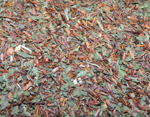 Cioccomenta - Rooibush sapore cioccomenta g.100