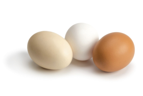 6 uova fresche 330 g BIO