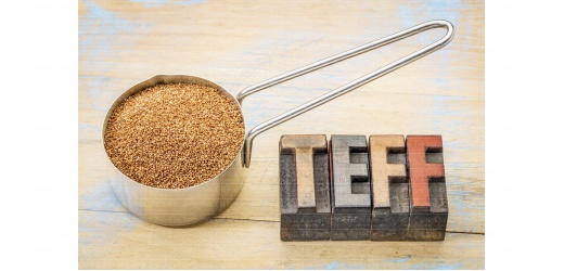 Farina di teff