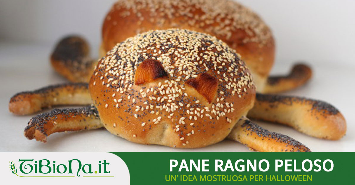 Ricette di Halloween: Pane Ragno