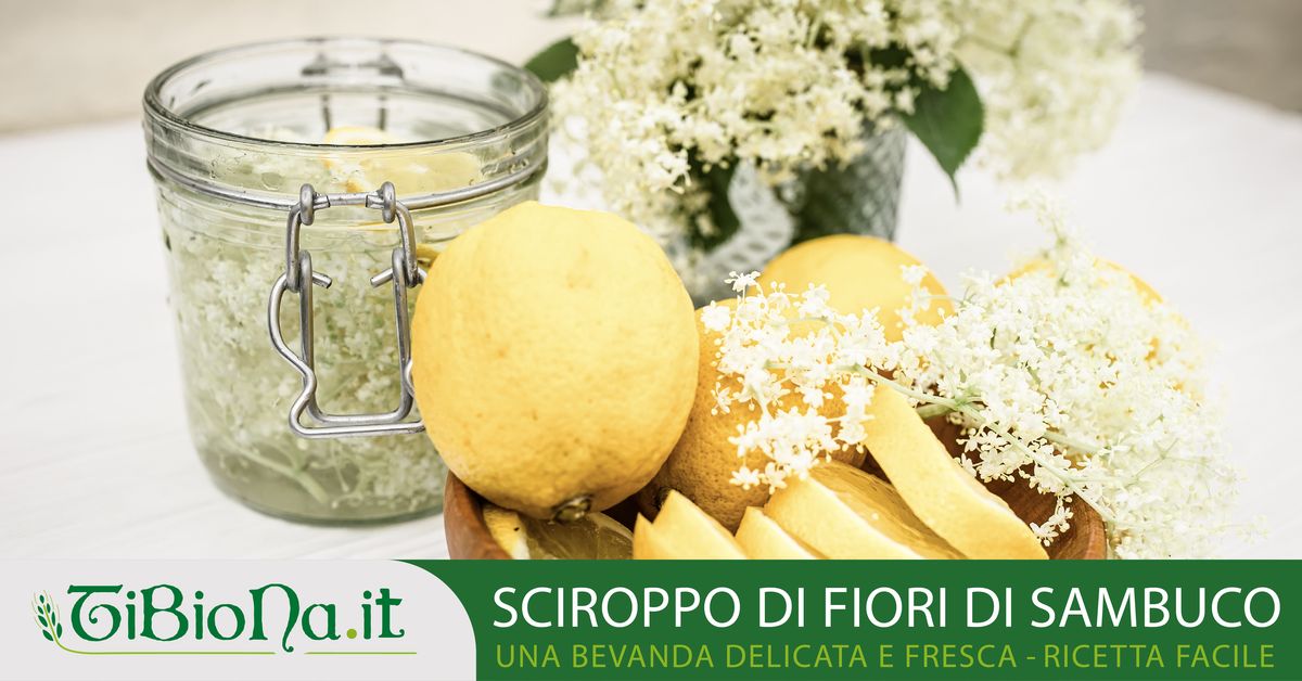 Sciroppo di fiori di Sambuco - ricetta facile