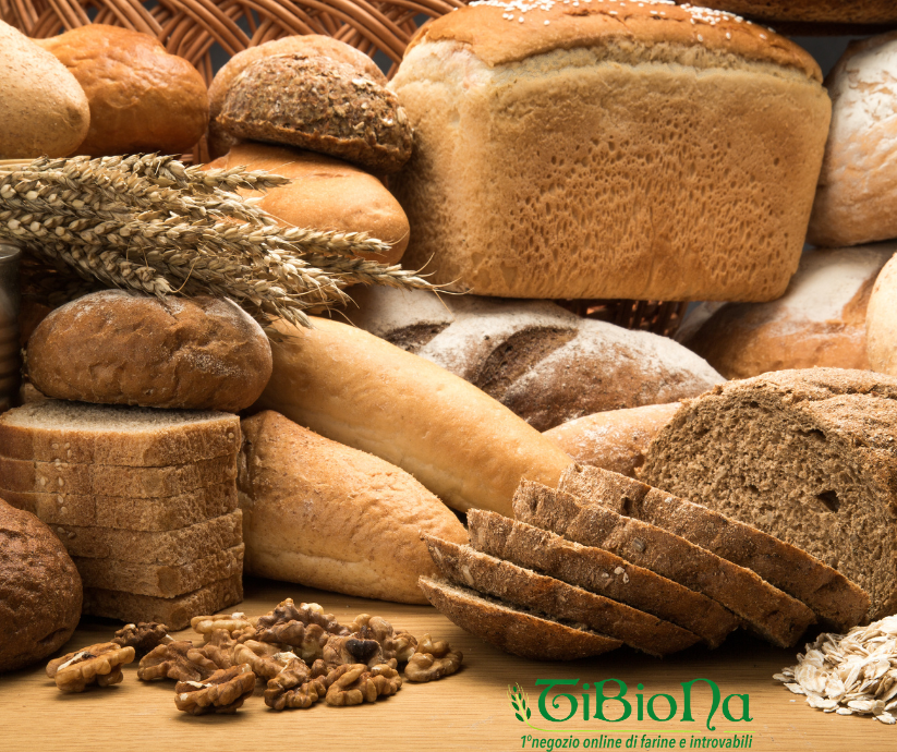 Quale farina scegliere per il pane?